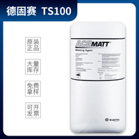赢创德固赛水性消光粉TS100  消光剂TS100 透明度好 具导电性
